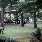 Hotel Eden