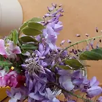 Отель Eden 3*