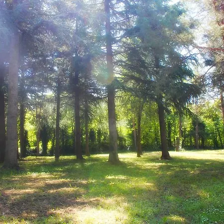 Eden 3*