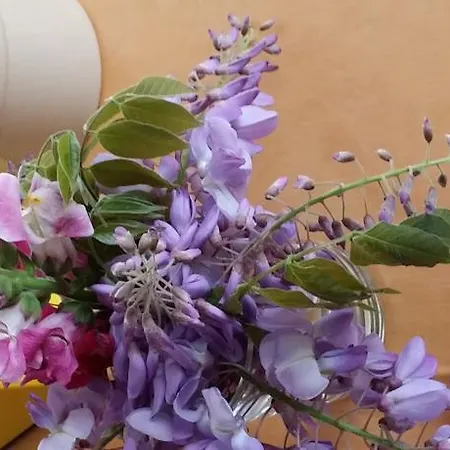 Ξενοδοχείο Eden 3*