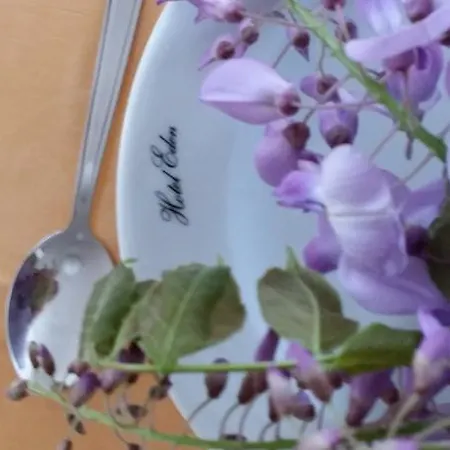 Ξενοδοχείο Eden Castrocaro Terme