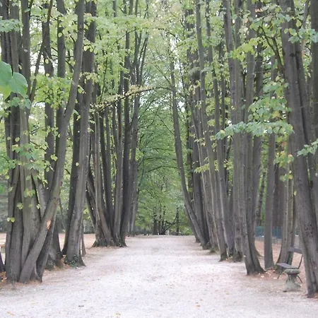 Eden 3* Castrocaro Terme