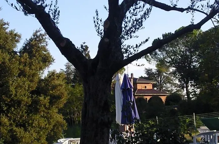 Eden Hotell Castrocaro Terme