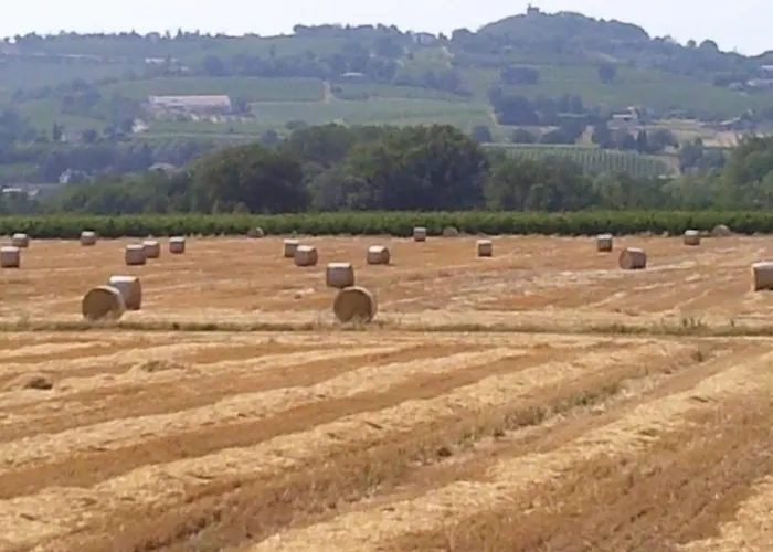 Eden 3* Castrocaro Terme