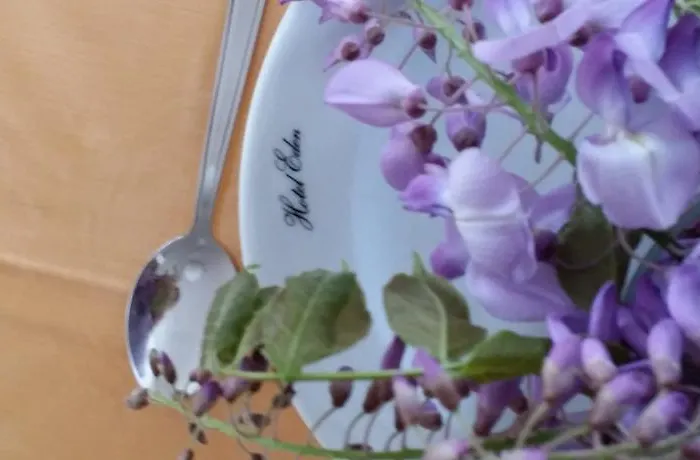 Hotel Eden Castrocaro Terme