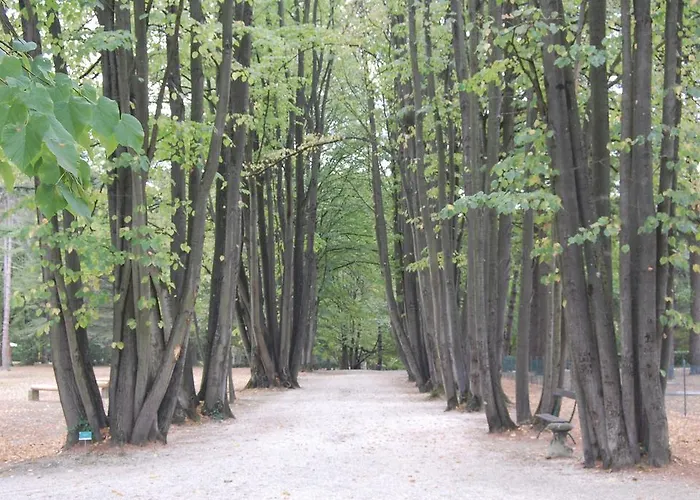 Eden 3* Castrocaro Terme